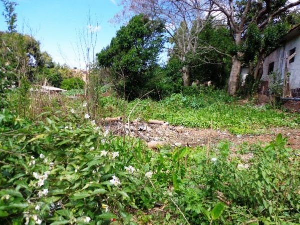 Terreno com 600m² no bairro Camaquã em Porto Alegre para Comprar