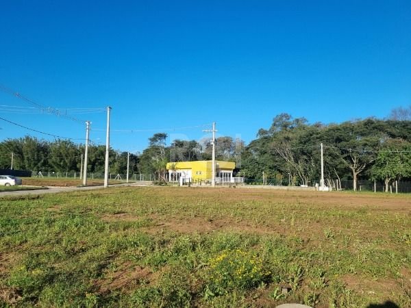 Terreno para Venda - 0m², 0 dormitórios, Campo Novo