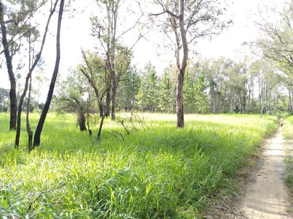 Area em Porto Alegre, no bairro Lomba do Pinheiro, à venda.