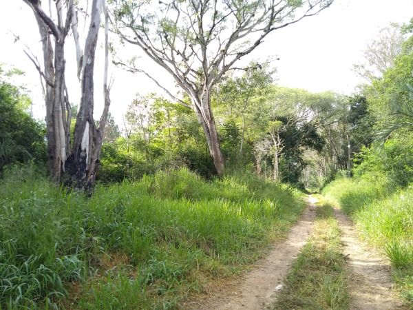 Area em Porto Alegre, no bairro Lomba do Pinheiro, à venda.