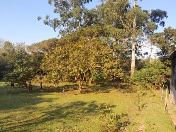 Sítio em Porto Alegre, no bairro Lageado, à venda.