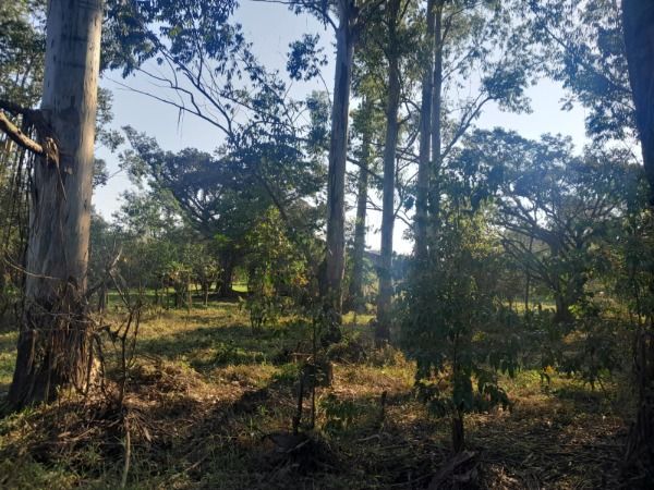 Sítio em Porto Alegre, no bairro Lageado, à venda.