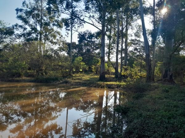 Sítio em Porto Alegre, no bairro Lageado, à venda.