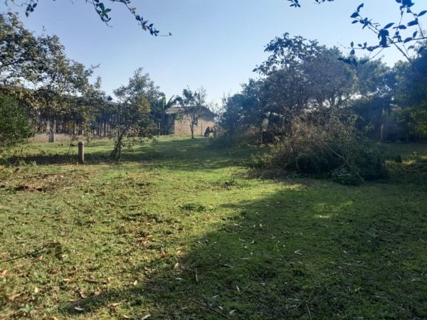 Sítio em Porto Alegre, no bairro Lageado, à venda.