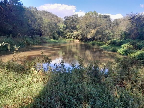 Sítio em Porto Alegre, no bairro Lageado, à venda.