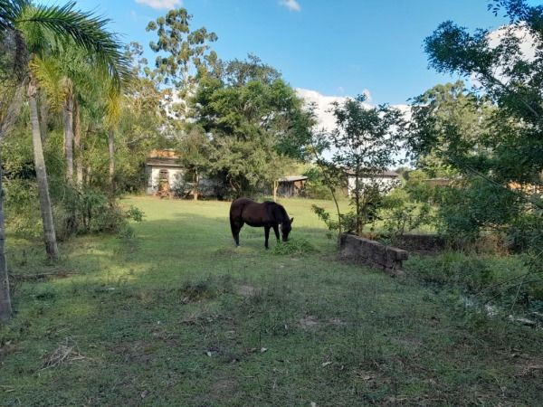 Sítio em Porto Alegre, no bairro Lageado, à venda.