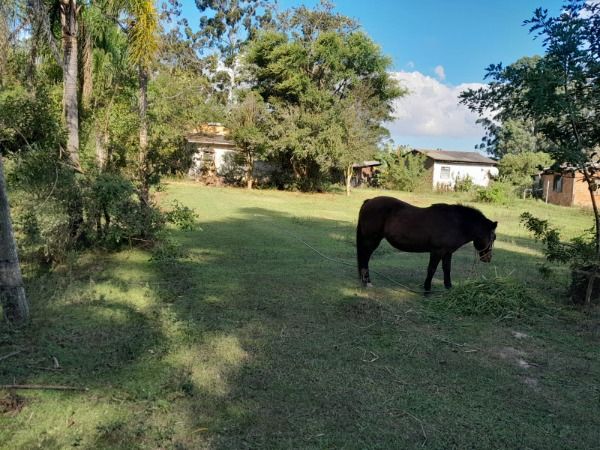 Sítio em Porto Alegre, no bairro Lageado, à venda.