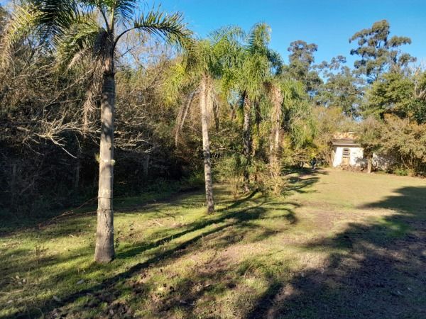 Sítio em Porto Alegre, no bairro Lageado, à venda.