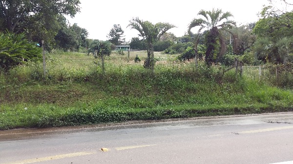 Terreno com 5.000m² no bairro Vila Nova em Porto Alegre para Comprar