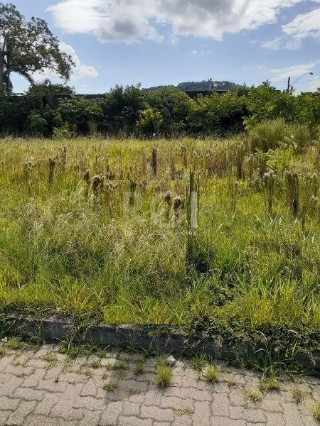 Terreno com 125m² no bairro Hípica em Porto Alegre para Comprar