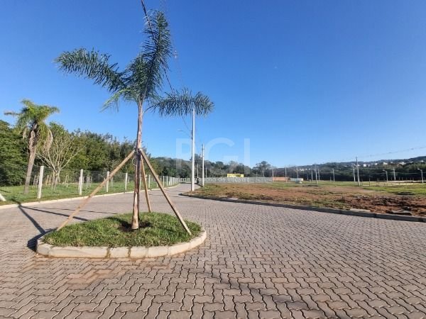 Terreno para Venda - 0m², 0 dormitórios, Campo Novo