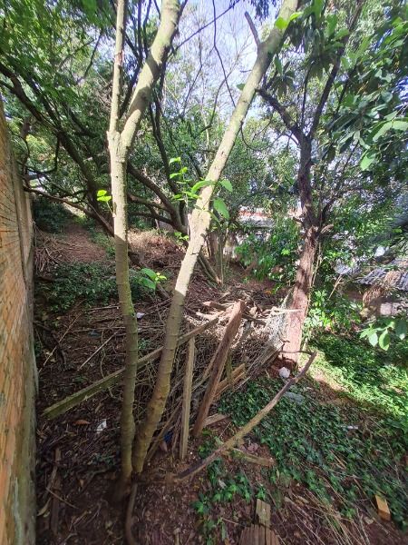 Terreno para Venda - 0m², 0 dormitórios, Camaquã