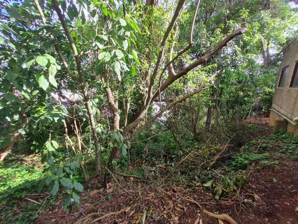 Terreno para Venda - 0m², 0 dormitórios, Camaquã